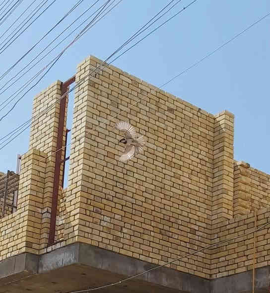 خلفه بناء درجه اولى 👍 جزء من أعمالي في مناطق 👇 متفرقه ببغداد 🌏
شغلنا ع دبل وقطعي ✊
سلمنا كاع نسلمك بيت 🌃👉
شغلنا كرخ ورصافه 🙏 وايضأ نشتغل ترميم  درجه اولى 
   اسعارنا مناسبه جدأ   😊
للاتصال *********** بي واتساب
