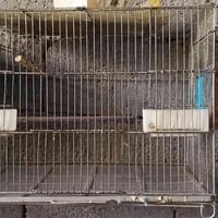 أربع خانات • مستعملة • حي العباس