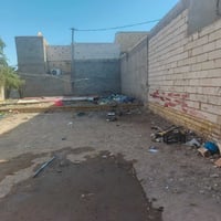 فرع مول كوخ • ٢٠٠م • وجه ٩