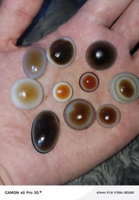 شلع • سعر مناسب