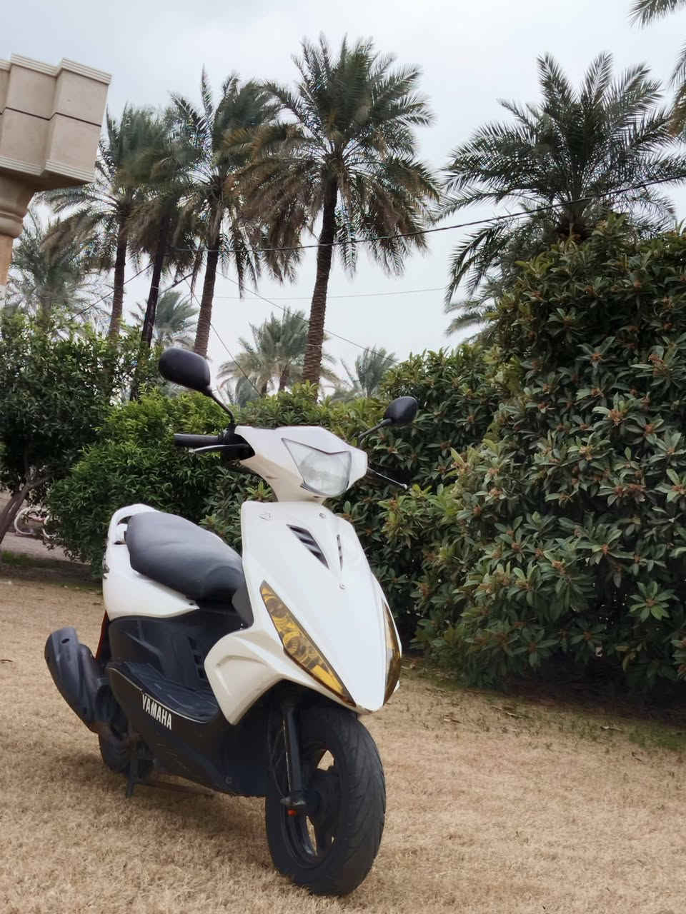 سلام عليكم دراجة ماكس مضلع دراجة نوزل  ختم واحد ويا المكينه كهربيات كلاهة شغل جيب فيتر وياك وافحص مكاني الراشدية محطة الضيافة سعر خاص ***********
