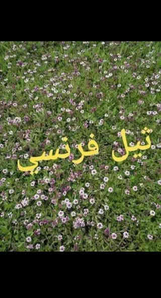 أنواع الثيل عدنه وبأسعار تنافسيه رقم الهاتف ***********يوجد خدمت توصيل ل باب البيت
