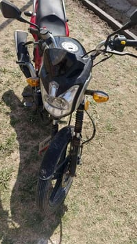 ليفان • ٥كير • التاجي