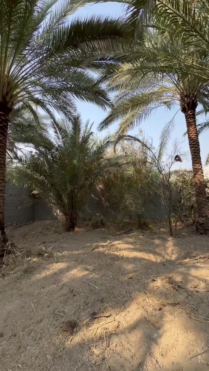السلام عليكم 1000 متر للبيع. التفاصيل داخل الفيديو ***********
