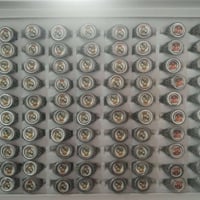 محابس أطفال • منوعة