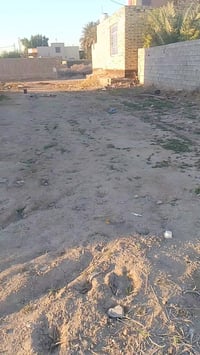 نجف العباسية • ١٥٠م • طابو زراعي