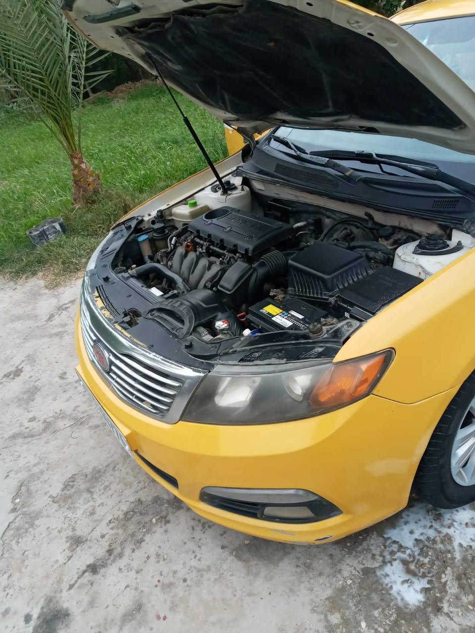 سلام عليكم كية وبتيمة
موديل 10وارد مريكي حدادية جديدة مكينة جديدة تبريد شقال ثلج طخم تواير جديد 
ضربة وارد جوة قبق لبانزين 
رقم بغداد دولي مكان ذي قار 
شطرة رقم راعي سيارة ***********
