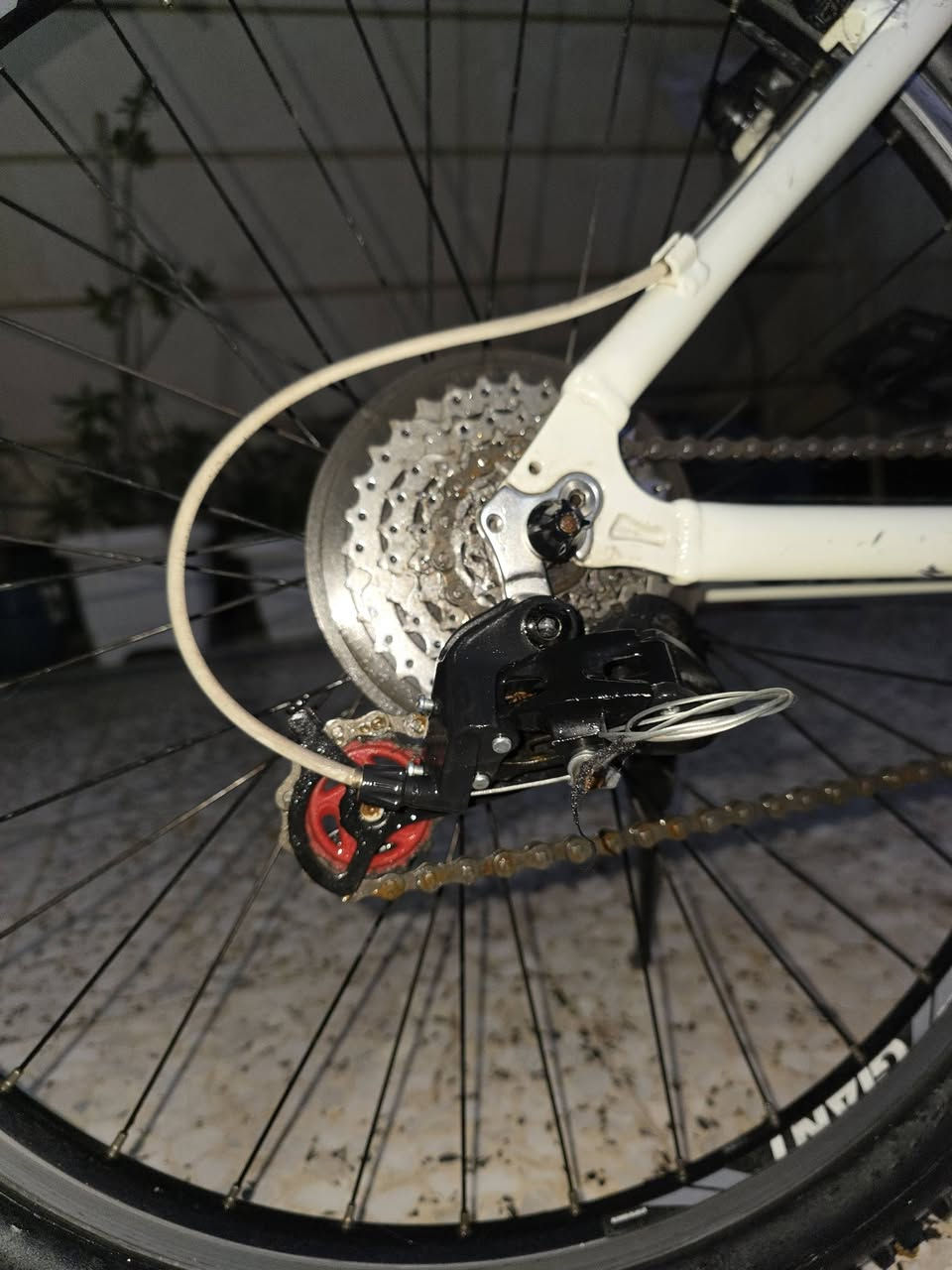 جينتا نضيف بل باكيت  السعر 200 وبي مجال


**إذا كنت صاحب هذا الإعلان وتريد حذفه لأي سبب، رجاءا أرسل رسالة إلى الدعم الفني**