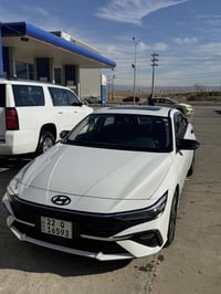 إلنترا ٢٠٢٥ • أربيل • ماشية ١٢ ألف