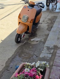 بوليس • مكينة ما مفتوحة • جاهزة