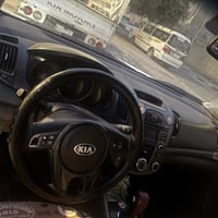 سيراتوه • مصبوغ • ٢٠١١