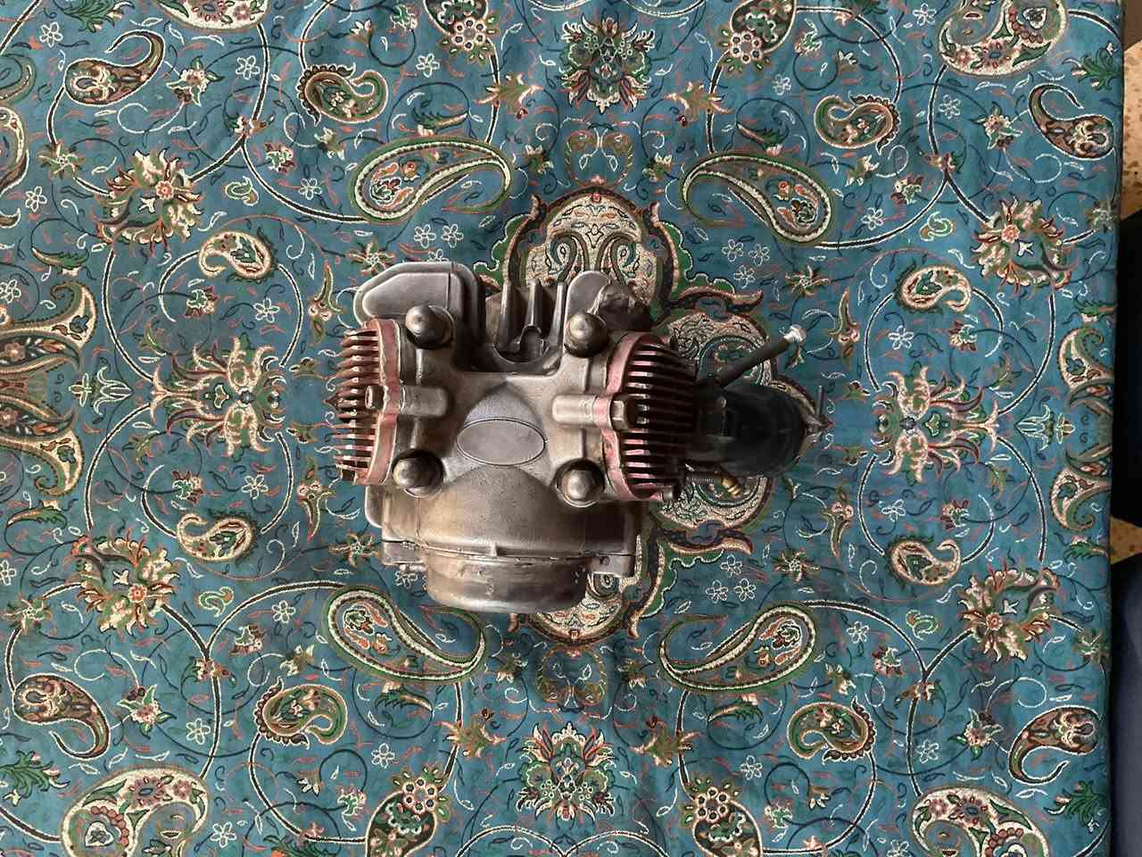 سلام عليكم حبايب اليدور مال فكريات لا يوصل تزويد فحل شمعه جبلي لد كله اصلي كلچات تخم چويتر 32 نوزل 8 كور بصمه نضيف تچوه مال شمعه و مال فحل تنشد ب براغي السبايدر سلف دولار يشغل 58 ونص لل 66 كشن رياضي مال فحل مال رمبه صالصنه بوري عدل ام الحساس صوت إذا مو طرب مرجوعه .
اسف على الاطاله (مكاني بغداد حي القاهره )
تواصل واتساب (***********) 
أدمن وافق 🤍
