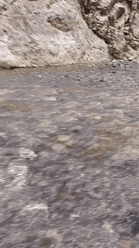 🌹بسمه تعالى🌹
✈️سفرة الى ايران
قم ♡ مشهد ♡ كاشان 
مدة السفرة 10 ايام
يوم 5 / 1 مع ثلاث وجبات طعام          🔥خمسه ايام في مشهد
ذهاب طيران من بغداد ✈️ الى مشهد جولات سياحيه قدم الامام شلالات نيشابور بحيرة جالدرة   ثم قطار من مشهد  🚅 الى قم ثلاثه ايام نبقى وسفرة الى كاشان وباص 🚎 الى مهران ثم الى بغداد ♡ كل هاي ( ٣٧٥) الف للحجز الاتصال على الارقام التاليه
( *********** )
( *********** ) 
ياسين العلاق
بغداد.. البلديات..
ملاحظه. الطفل دون 5 سنوات فقط مبلغ الطائرة
