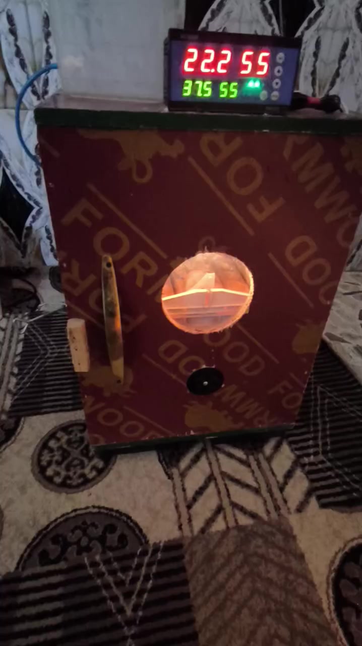 متاح فقاسة للبيع تاخذ 126 بيضة فول اوتوماتيك قلابات تركي بنكة ياباني يعني بس تشغل مفولة عل الاخر السعر 300 وبيهة مجال بسيط *********** // *********** // مكان طارمية
