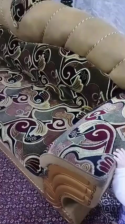 تخم قنفات للبيع مستعمل السعر ٢٥٠


**إذا كنت صاحب هذا الإعلان وتريد حذفه لأي سبب، رجاءا أرسل رسالة إلى الدعم الفني**