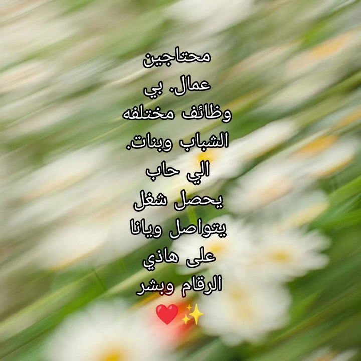رقم الوتساب ***********  + يتوفر مبيت لجميع المحافظاة

