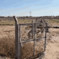 خلف جامعة بابل • دونمين • طابو زراعي سند 25