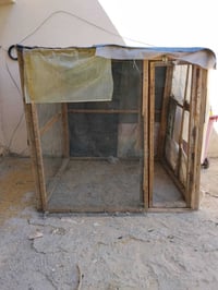 محميه طيور • طيور حب • بابل مركز