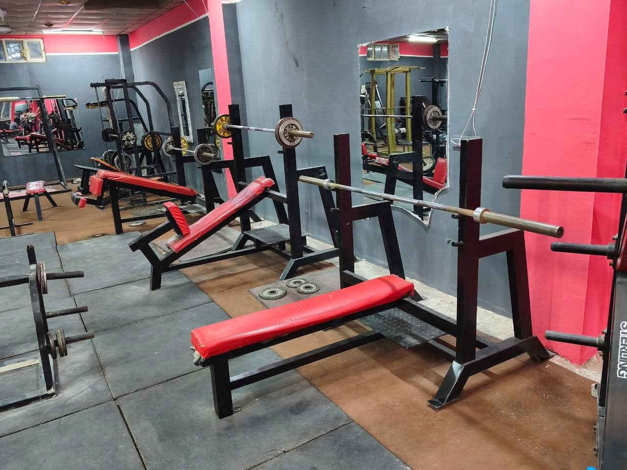بسم الله وعلى بركة الله
ثم بأدارة الكابتن ياسر السامرائي
مع قاعة جم الخضراء المطورة حديثآ 💪
ومع بدء موسم فصل الصيف جدد واشتري صحتك وبسعر اشتراك مناسب جدآ جدآ ب((٢٠)) الف فقط شهريآ شامل كورس الكابتن والاشراف على الاعب اثناء وبعد التمرين

2.كما يوجد اشتراك يومي ((٢٠٠٠)) دينار فقط

العنوان (سامراء)❤️ ، نهاية حي الخضراء الثانية ، على شارع حولي الخضراء المثنى ، بجوار الضريبة فوق اسواق الخليج  .

القاعة مفتوحة على مدار الاسبوع بلا توقف ولا عطل من الساعة الثالثة عصرآ الى الساعة 12 ليلآ .
وأهلا بالجميع


**إذا كنت صاحب هذا الإعلان وتريد حذفه لأي سبب، رجاءا أرسل رسالة إلى الدعم الفني**