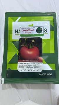 الابرهيمي • الحيدرية الحولي • جودة عالية