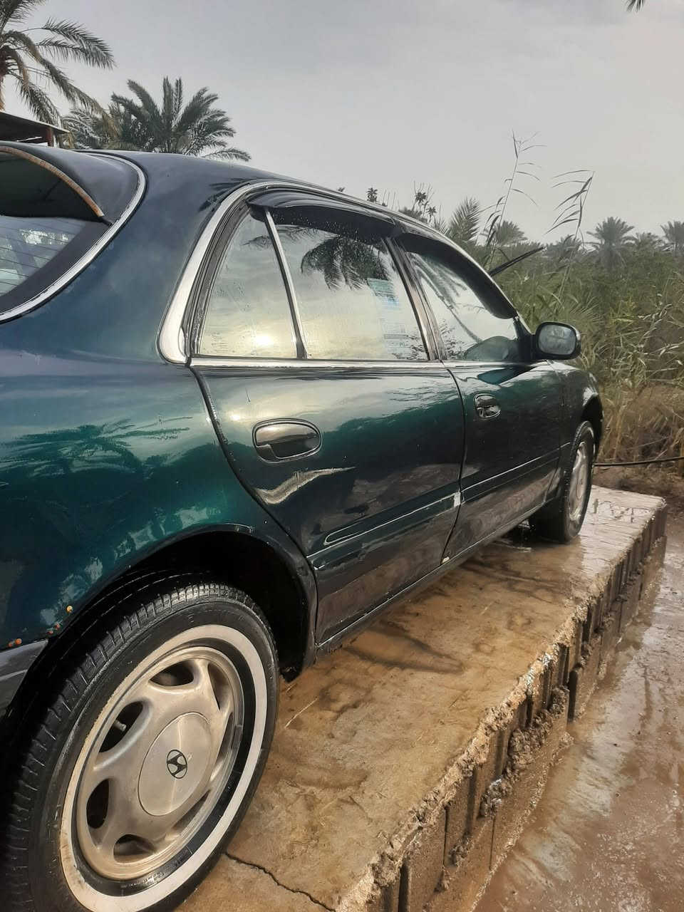 سوناتا موديل ١٩٩٦ رقم بغداد مشروع وطني سنويه تنتهي ٢٠٢٧ بسمي تبريد ثلج وتدفئه مكفوله محرك وكير مكان ديالى الخالص سعر ٤٢ وبيه مجال التفاصيل على الخاص


**إذا كنت صاحب هذا الإعلان وتريد حذفه لأي سبب، رجاءا أرسل رسالة إلى الدعم الفني**