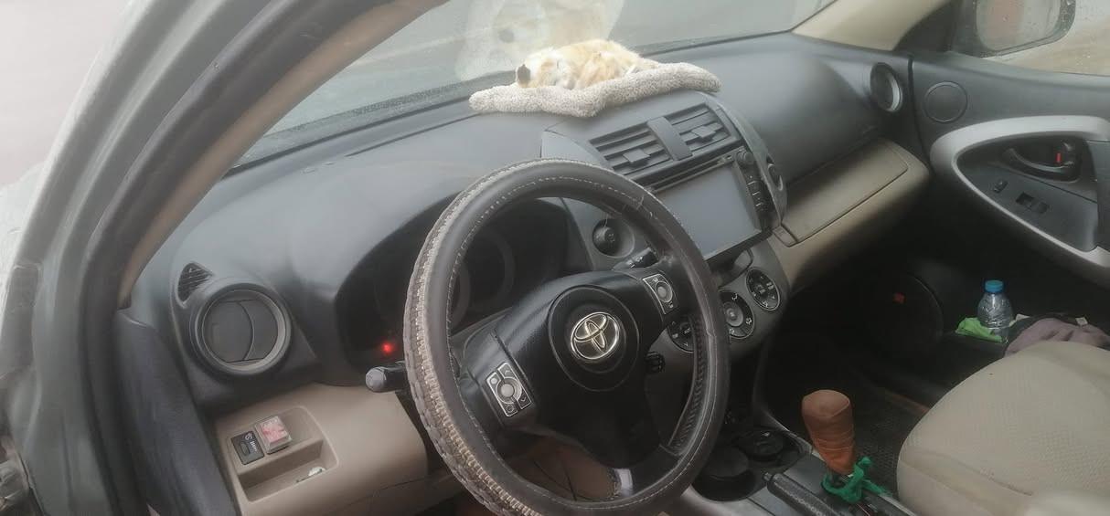 السلام عليكم راف فور موديل2008 بغداد رقم انكليزي بإسمي 5راكب محرك3500 رايدها 88 وبيها مجال العنوان بغداد مدينة الصدر رقم التلفون ***********
