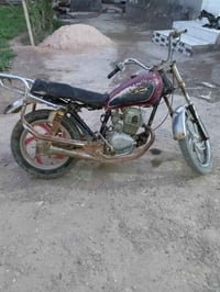 كلك تراي • البصره • ستوته