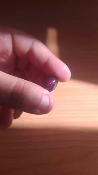 فص اوبال • اسود • تحفة