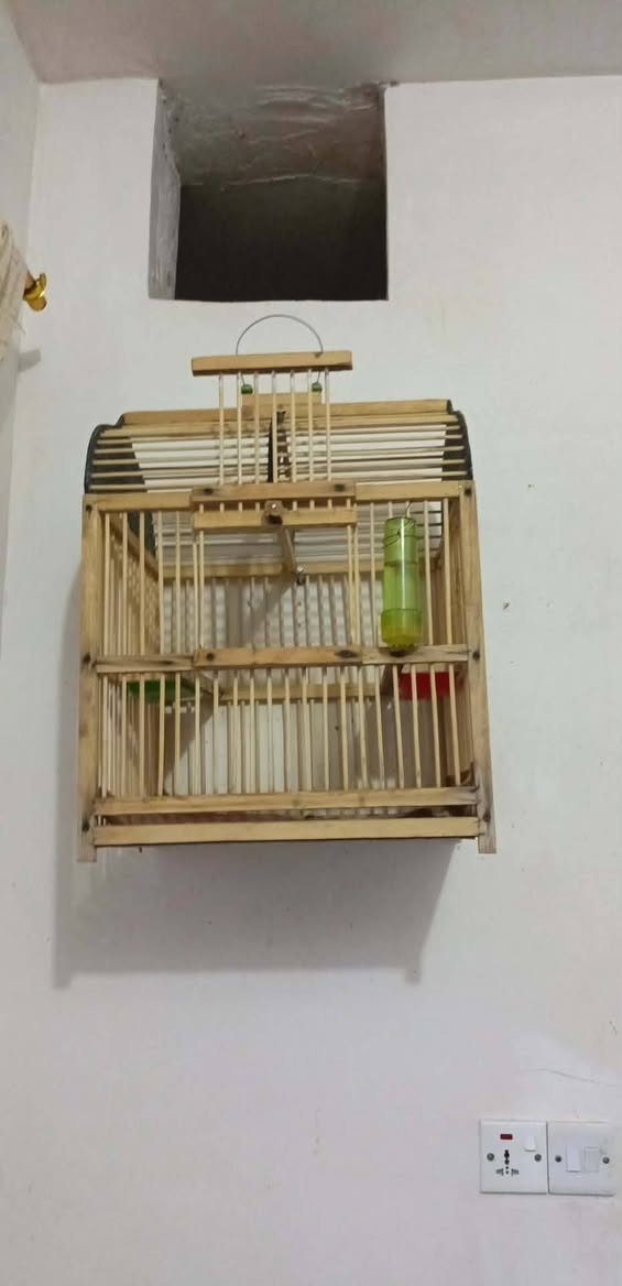 سلام عليكم ورحمة الله وبركاته
متاح اقفاصه بلابل تمر
شغل ايد الأخ  أبو أحمد سامان جبار 
 مختلف الأسعار اكو ب 10  و 15 و 20  كلشي وبسعره  عنوان ناحيه جباره ***********   جمله والمفرد
