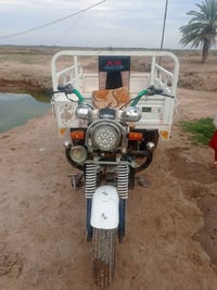 ستوته • مديل ٢١ • اوراق