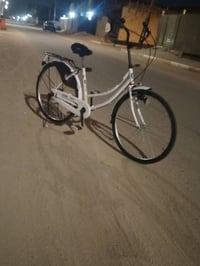 باسكل • موديل ٢١ • سانتوس