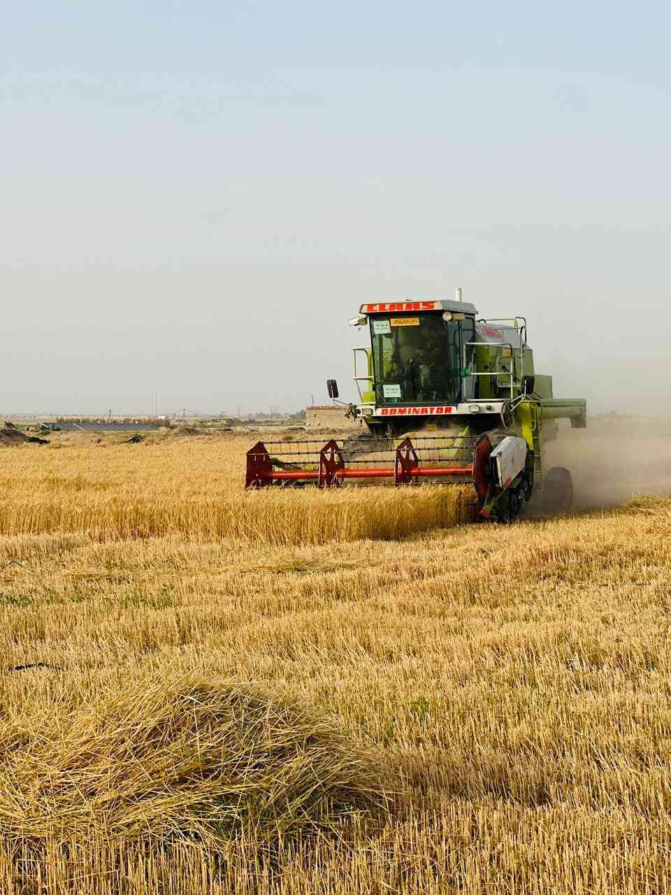 حاصوده كلاس 2003 مديومه وجاهزه مكفوله وموصفاته حلوه الشراي يتصل ***********
