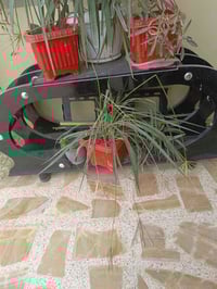 ميز بلازما للبيع  07703030696