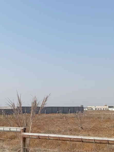 يوجد لدي دوانم البيع في بغداد ابو غريب منطقة السميلات والحمدانيه وا ١٠ مناصير طابو زراعي سند ٢٥ التصال أو وتساب ***********
