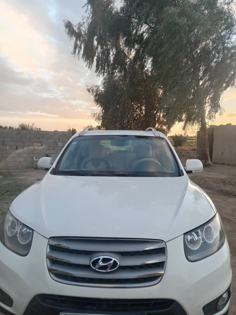 سنتافي ١٢ خليجي البيع ٧راكب مكفول من صبغ من ضربه ***********
