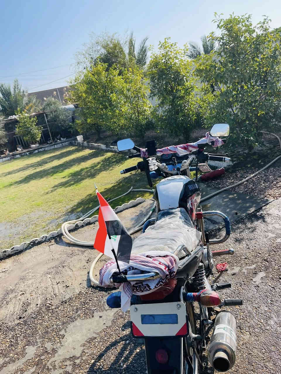 سلام عليكم هيوشه موديل ٢٠٢٣اوراقه يم محمد مزهر نضيفه كلش برغي مناقصه للبيع مكاني الرمادي زنكوره السعر ٨٥٠وبيه مجال❤️***********
