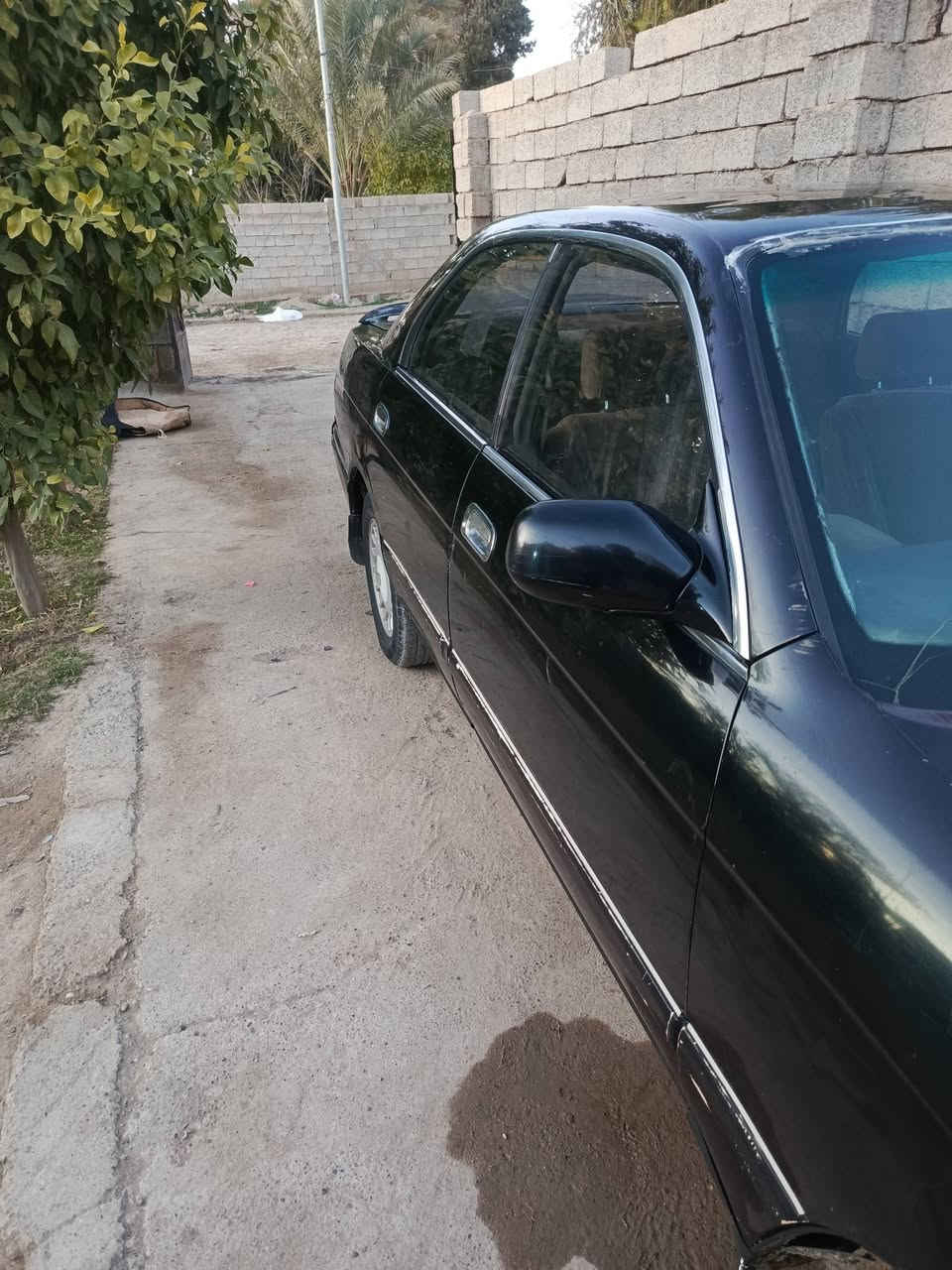 سلام عليكم بطه فصل للبيع موديل 93 بلادي مابيه صبغ كير ومحرك ففي تي جديد سعر 39 مكاني تكريت


**إذا كنت صاحب هذا الإعلان وتريد حذفه لأي سبب، رجاءا أرسل رسالة إلى الدعم الفني**