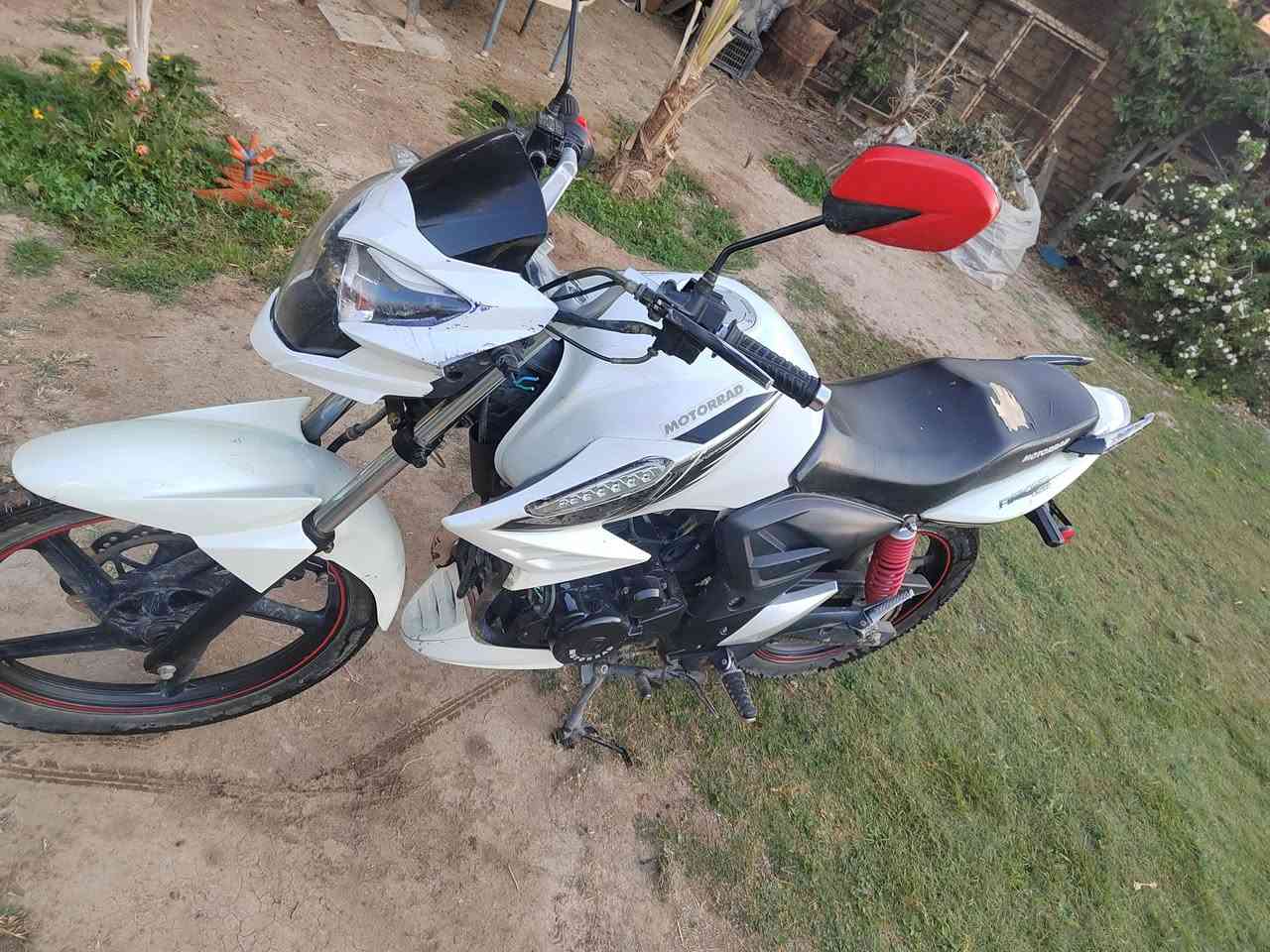 دراجه دايواند بطح للبيع مديل 23 اوراق الدراجه ما ناقصهه شي كامله مكاني بابل ابي غرق السعر مليون و50 وبيهه مجال رقمي ***********
