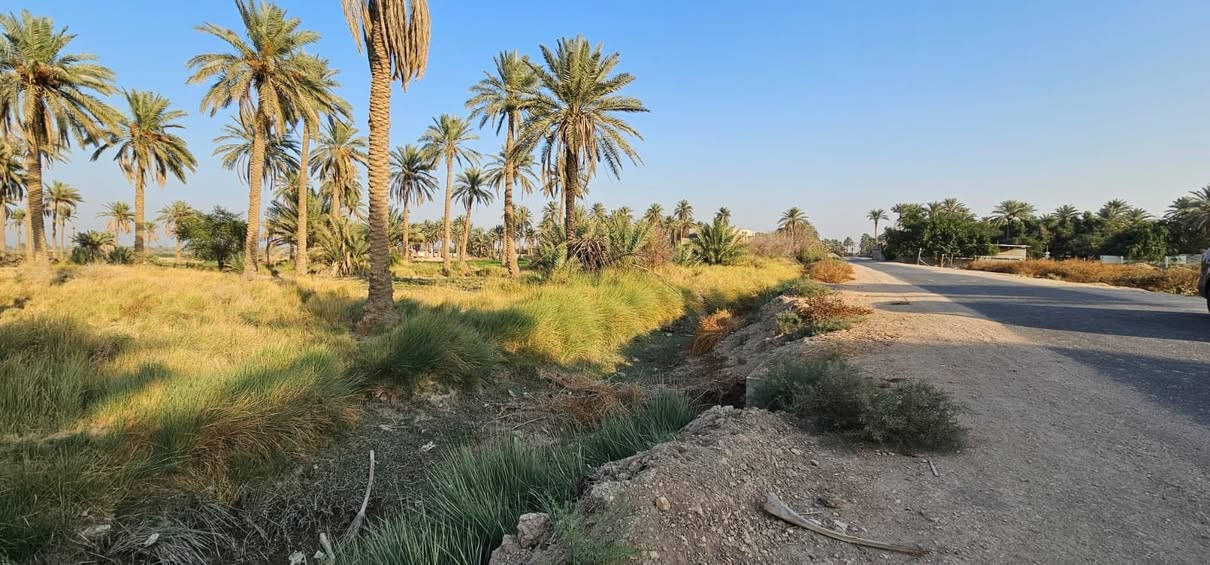 السلام عليكم 🤝

(2)دونم و800 متر للبيع طابو زراعي تحويل مباشر ✅✅✅

على تبليط مباشر 🛣️🛣️🛣️

موقع مميز ومرتب 💯💯💯

العنوان كربلاء منطقه الجدار  تبعد عن الشارع النجف تقريبا 2كيلو ونص تقريبا ✅✅✅

عامود 1141 وتنزل ع الارض كلها تبليط 🛣️🛣️🛣️

واجهيه الارض (30) متر ع تبليط مباشر 🛣️🛣️🛣️

كافه الخدمات متوفره كهرباء وماء مدارس منطقه سكنيه 🌆

للأستفسار آكثر الأتصال على أرقآم التأليه 

0️⃣7️⃣7️⃣2️⃣5️⃣9️⃣8️⃣1️⃣9️⃣4️⃣5️⃣ابو باقر
0️⃣7️⃣8️⃣0️⃣8️⃣9️⃣9️⃣8️⃣8️⃣1️⃣8️⃣

وكذالك نستقبل جميع العروض لديكم في كافه مناطق كربلاء المقدسه 🏬🏬🏬🏬🏬🏬
