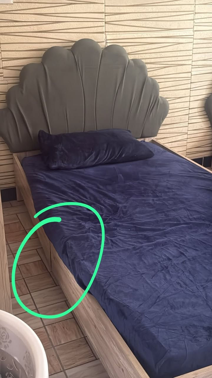 سرير عدد ٢ للبيع تركي بي ضرر بسيط مثل ماموضح بلصوره المكان بغداد


**إذا كنت صاحب هذا الإعلان وتريد حذفه لأي سبب، رجاءا أرسل رسالة إلى الدعم الفني**