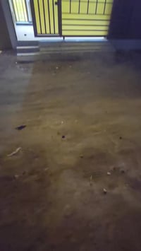 اليوبا الصقر • ٢١٠م • غرفتين