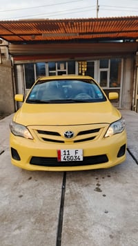 كورلا امريكي • ٢٠١٣ • مكفولة