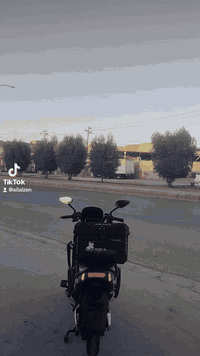 متاح سكنس موديل ٢٥ مستخدم ٢٣ يوم جديد كوريا ام ار ٦ باتري بصمه نضام كارت تشغيل ٤ سرع سرعه ٩٩ كله فول واحد عل واحد سعر ٧٥٠ وبي مجال قليل حك الجيه ***********
