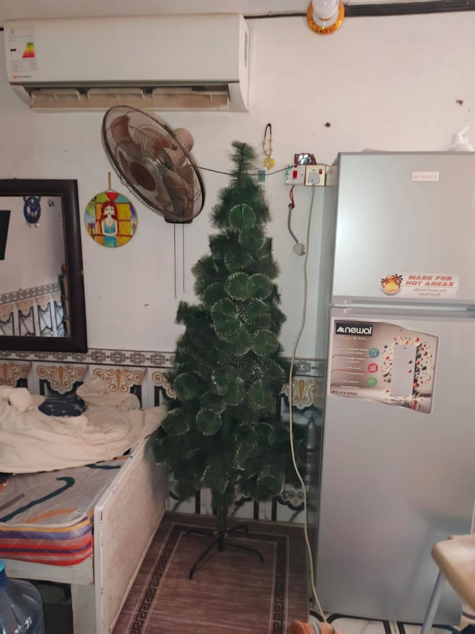 سلام عليكم شجرة 🌲للبيع مال احتفال اكبر حجم سعر 30 وبيها مجال قليل اليريدها يتصل على هاذ الرقم ***********
