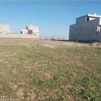 قوسيات • ٢٠٠م • سند زراعي