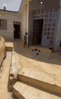 حي الزيتون • تجاري • ١٥٠م