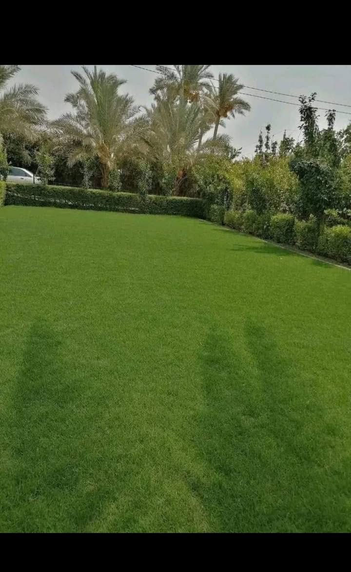 لدينا كافة أنواع الثيل الطبيعي درجة اولى
#متوفر  توصيل لكافة محافظات العراق

متوفر لدينا كافة انواع الثيل الطبيعي💚
#نوعية ممتازة 
هندي - امريكي - ايطالي فرنسي... 🌿☘️🍀
وبأسعار تنافسية 
 
مستعدون لتجهيز الحدائق العامة والمتنزهات والملاعب  
للحجز او الاستفسار اتصل على احد الارقام التالية:
***********
***********
