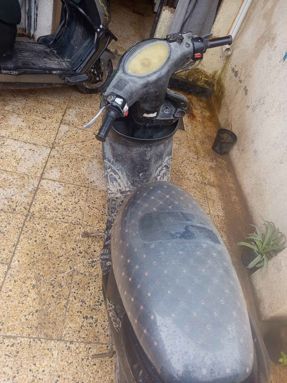 السلام عليكم اخواتي درجه الاكزز مكينه شرط برغي ما مفتوح بيها شرط جيب وياك الف. فيتر حته قمجات اصلية مكينه زيرو ,وايرمنية كلهاشغالة  لسعر 200بي مجال مال جيتك شراي اتصل ***********
