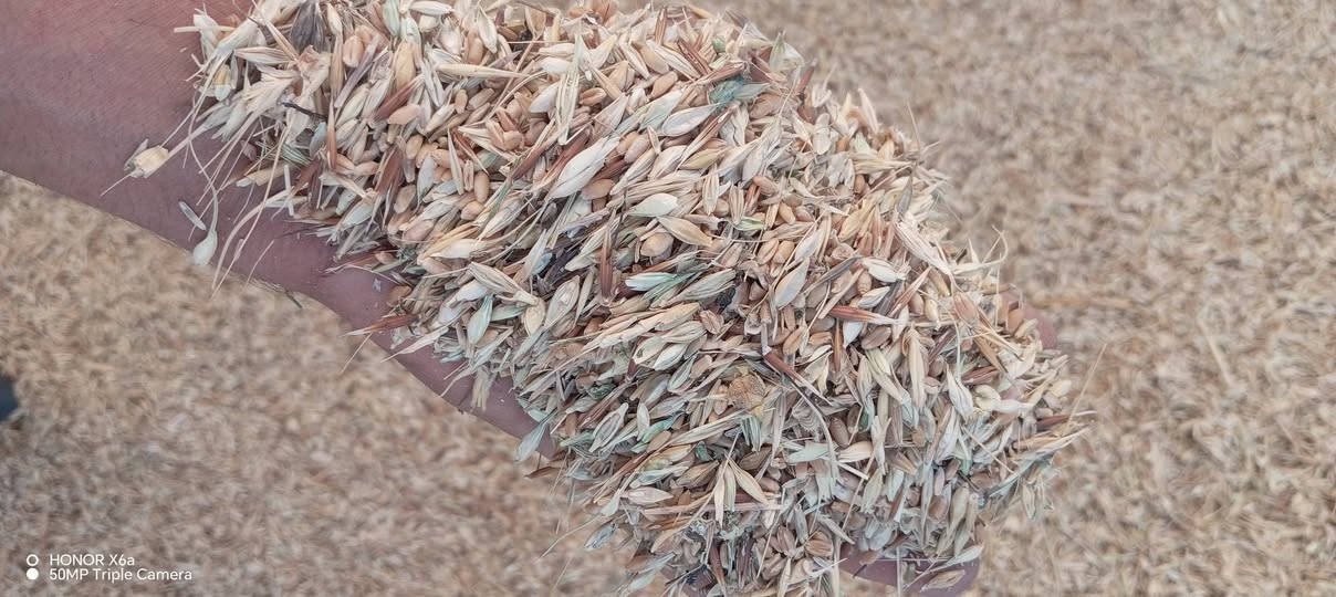 السلام عليكم اخوان عندي راجع للبيع المكان واسط النعمانيه الشراي يجي خاص اويتصل على الرقم ***********
