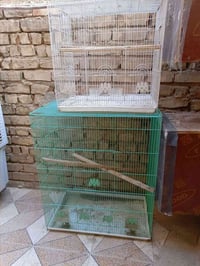 خانات • كبير ٣٠ • وسط ٢٠